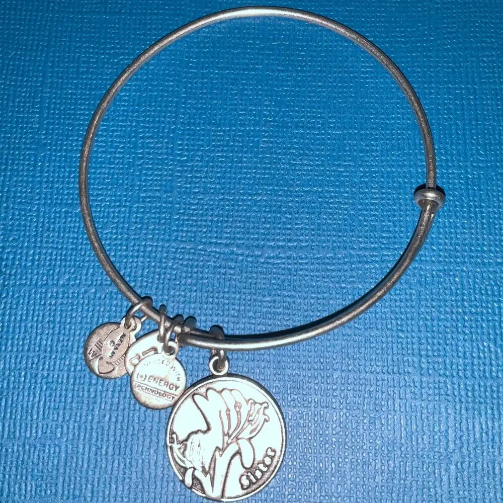 ALEX & ANI 
